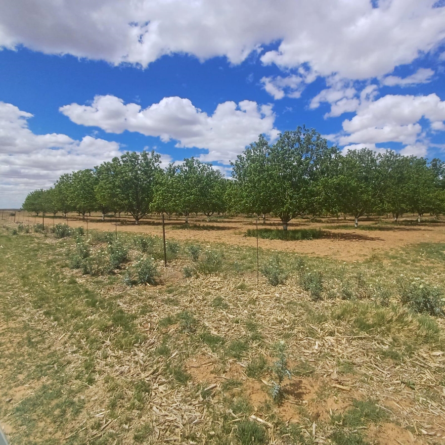 0 Bedroom Property for Sale in Bothaville Rural Free State